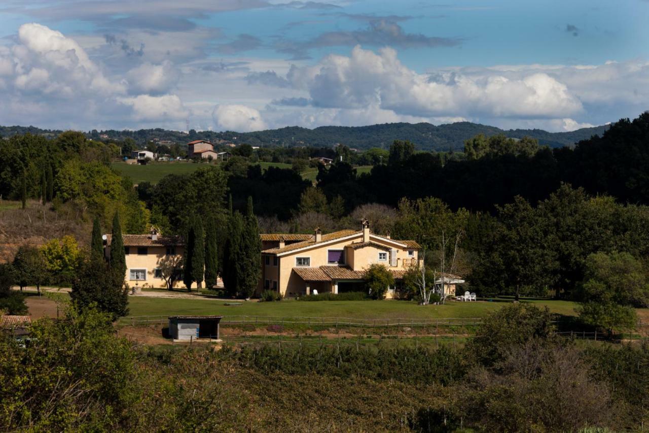 Bed and Breakfast Borgo Del Gelso à Olgiata Extérieur photo